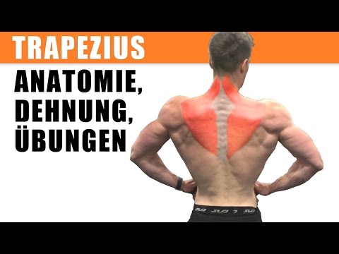 Schmerzen im Rücken unter dem Schulterblatt Temperatur von 37 Beschwerden an den Gelenken