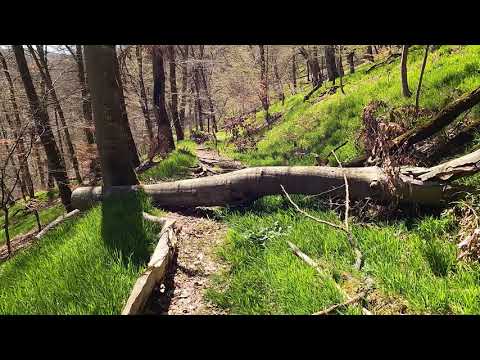 Wenn da steht Erdrutsch Lebensgefahr ,sollte man das glauben