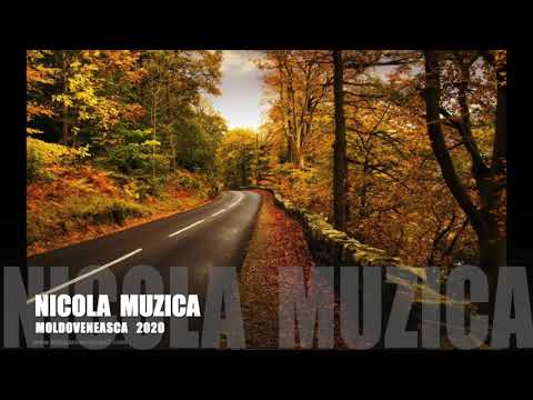 Colaj   batuta moldoveneasca 2020