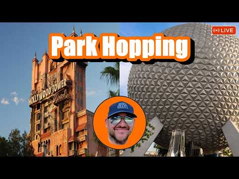 Live webcam of Theme Park Giant