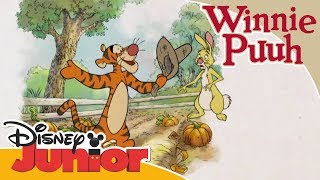 Freundschaftsgeschichten mit Winnie Puuh: Geduld, Geduld! | Disney Junior