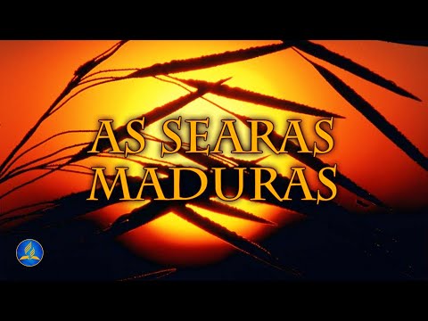 Hinário Adventista 331 - AS SEARAS MADURAS