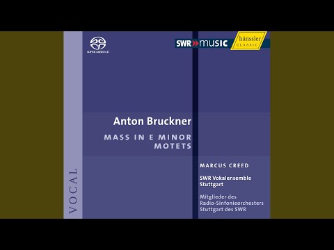 Pange lingua, WAB 33