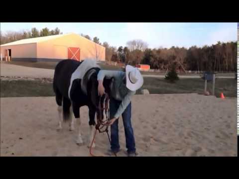 Habits of a Horseman - How to fix a Hard to Bridle Horse