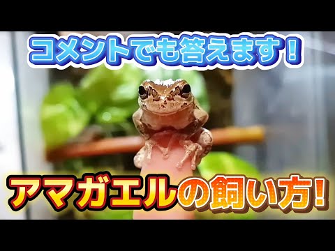 IUCN分類における絶滅の危険性を示す図。