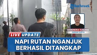 Kabur dari Rutan Nganjuk, Napi Asal Baron Ditangkap di Tumpukan Jerami Kandang Sapi Rumah Masa Kecil