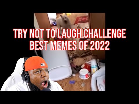TWIGGA LOST - 98% LOSE Try Not to LAUGH Challenge IMPOSSIBLE | Best Memes Compilation 2022 (REACTION