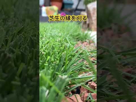 黄色い芝生？新しい輝きを取り戻して緑色に戻す理由と適切な治療法をご紹介します  庭園