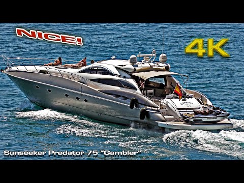 Sunseeker Predator "Gambler"