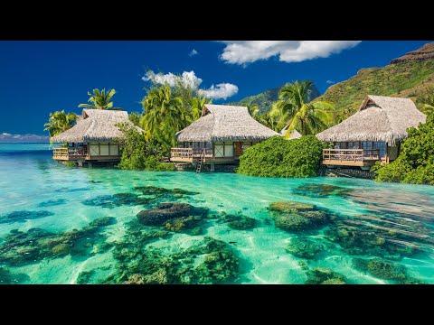 Walt Barr - Free Spirit BUT it's bossa nova / elevator music