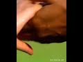 Asai Asai Ippoluthu Perasai ️ ️ ️ Song Status