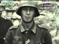 История без прикрас«Побежденная Германия 1945 г.» 