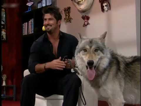 95-2 Cuidado con el ángel English Subtitle | Don't Mess with an Angel Episode 95 - 2 | William Levy