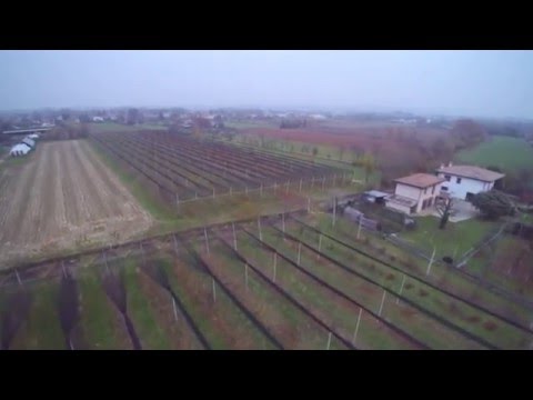 Agribon ripresa aerea frutteto 2