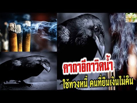 ผลิตภัณฑ์ความอ่อนแอชาย อวัยวะเพศชายเพิ่มอาหาร