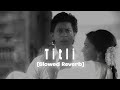 Titli Slowed Reverb From Chennai Express Abhi Xpo Slowed Reverb