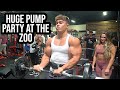 HUGE PUMP PARTY AT THE ZOO