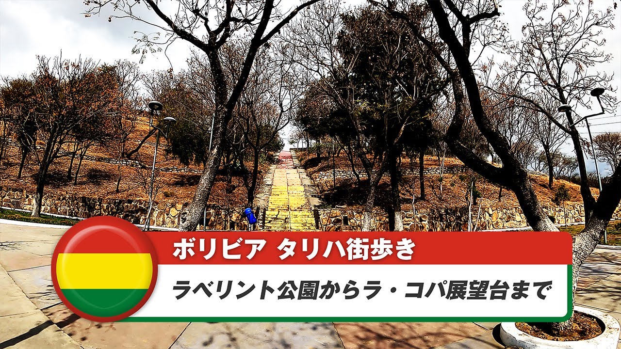 【ボリビア】タリハ⑮ラべリント公園からラ・コパ展望台まで