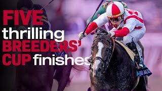 SO CLOSE! 5 Thrilling Breeders' Cup Finishes at Santa Anita Park