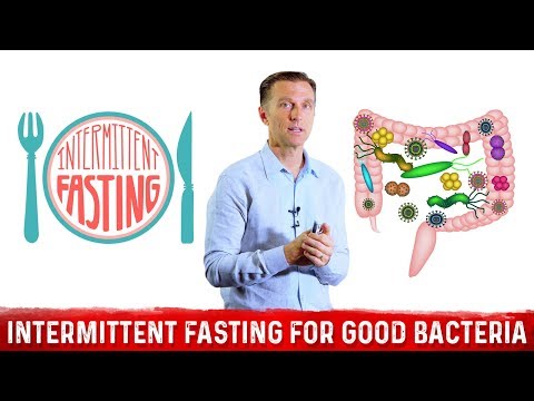 How to Overcome Adrenal Stress with Intermittent Fasting – Dr Berg
