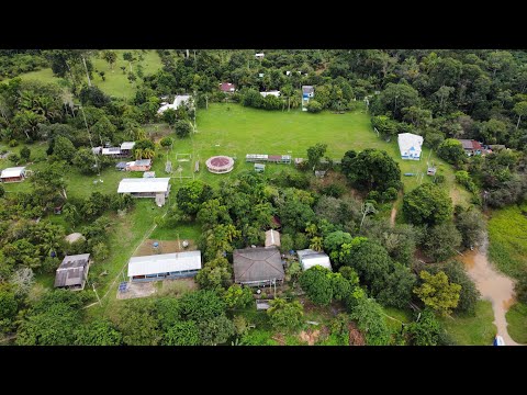 Comunidade São Pedro do Uruá - Villa Maraitt  | Manicoré-AM | Fevereiro/2026 