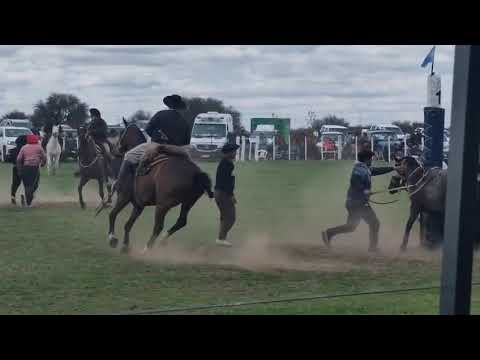 Jose Luis Cabañez vs La Bandurria de Pires 2do Premio en Fortuna Provincia de San Luis 