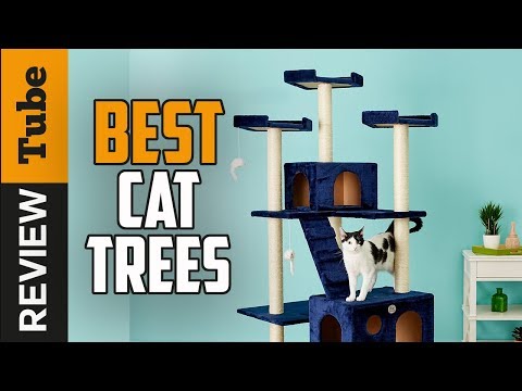 ✅Cat Tree: Best Cat Tree (Buying Guide)