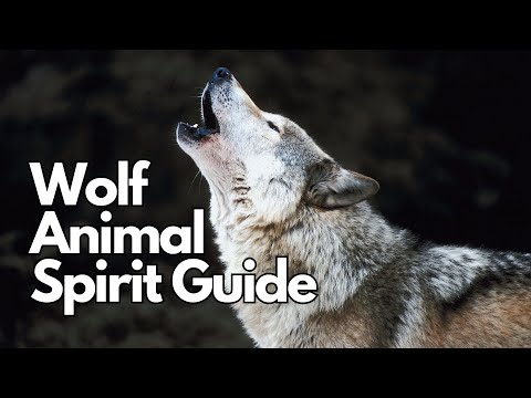 The Wolf Spirit Animal: A Complete Guide