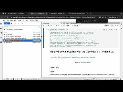 Create Text Embeddings for a Vector Store using LangChain GSP1233