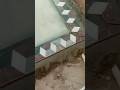3d Marble Design Marble Flooring Border Shorts Shortvideo