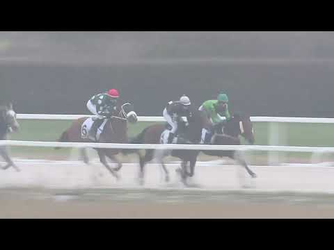 2022.11.27. 04. futam - BOGÁCSI HENDIKEP (V.o.) (szintetikus pálya)