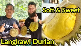 🇲🇾 EATING MALAYSIAN KAMPUNG DURIAN INSIDE R&R AGRO FARM | LANGKAWI, MALAYSIA