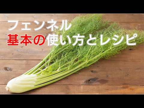 スパイス入りフェンネル 植物