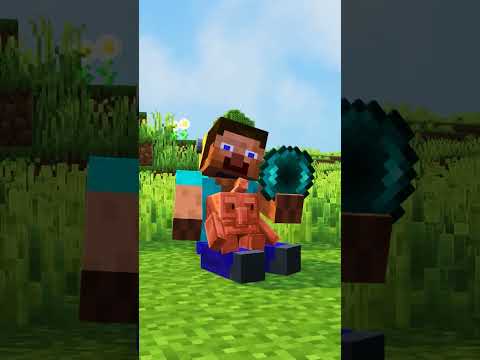 Save Oxy & Daisy from Pillagers - minecraft animation #shorts