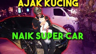 Ajak KUCING Naik SUPER CAR!