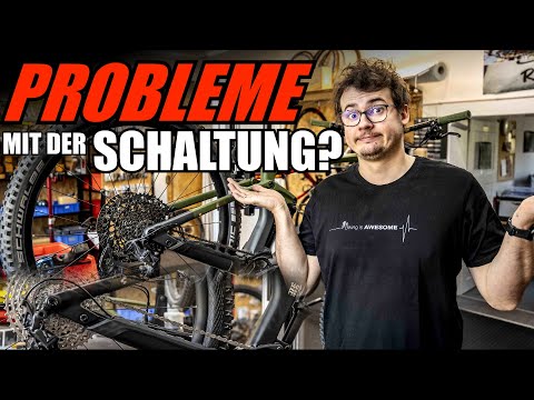 Everything's set up correctly! And yet the gearshift still doesn't work...MY TIPS FOR YOU!