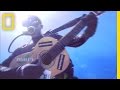 The Great White Shark Song 