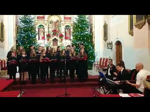 Zbor mladih "Santo" - Tama je svud