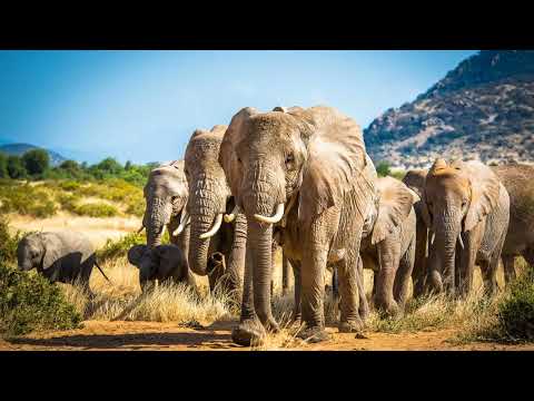 [daily news briefing] "Richard Easterlin: Pioneering 'Father of Happiness Economics' and L