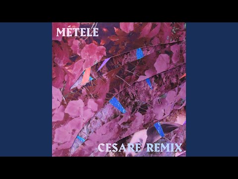 Métele (Cesare Remix)