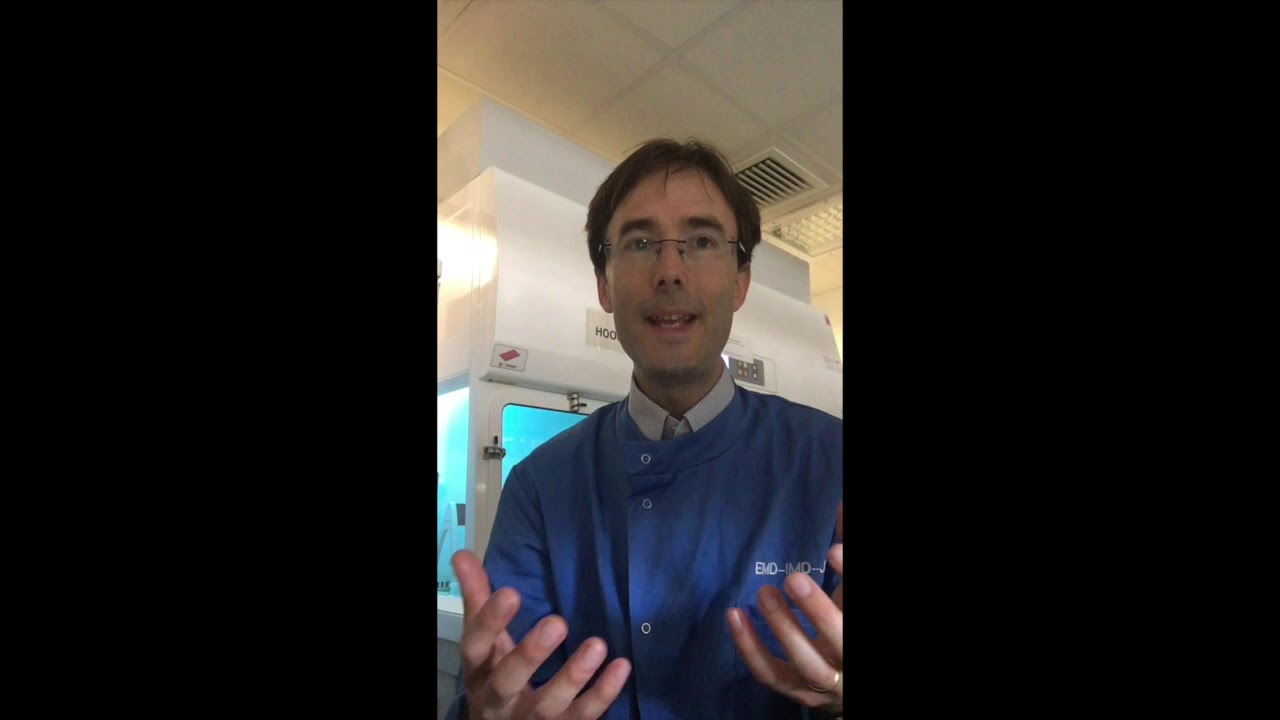 How can science and faith go together?