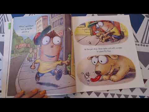 A Pet for Fly Guy (read aloud)