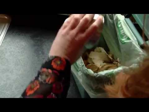 Beginners guide to food waste recycling