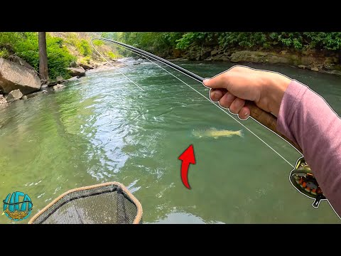 You Won't Believe the Size of this GIANT Trout!! (Fish of Lifetime)