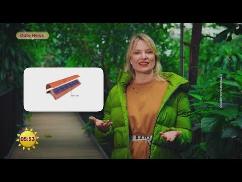 Gute News: Echter Pelz aus dem Labor und unsichtbare Solarzellen