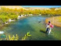 AMAZING FLY FISHING FOR BIG TROUT Streamer Fishing