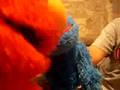 Grover Is Sick