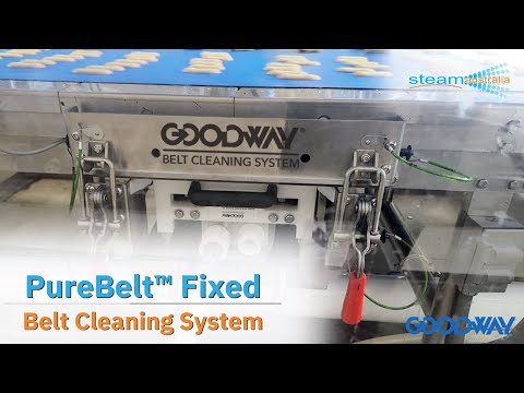 PureBelt™ Fixed Belt Cleaning System