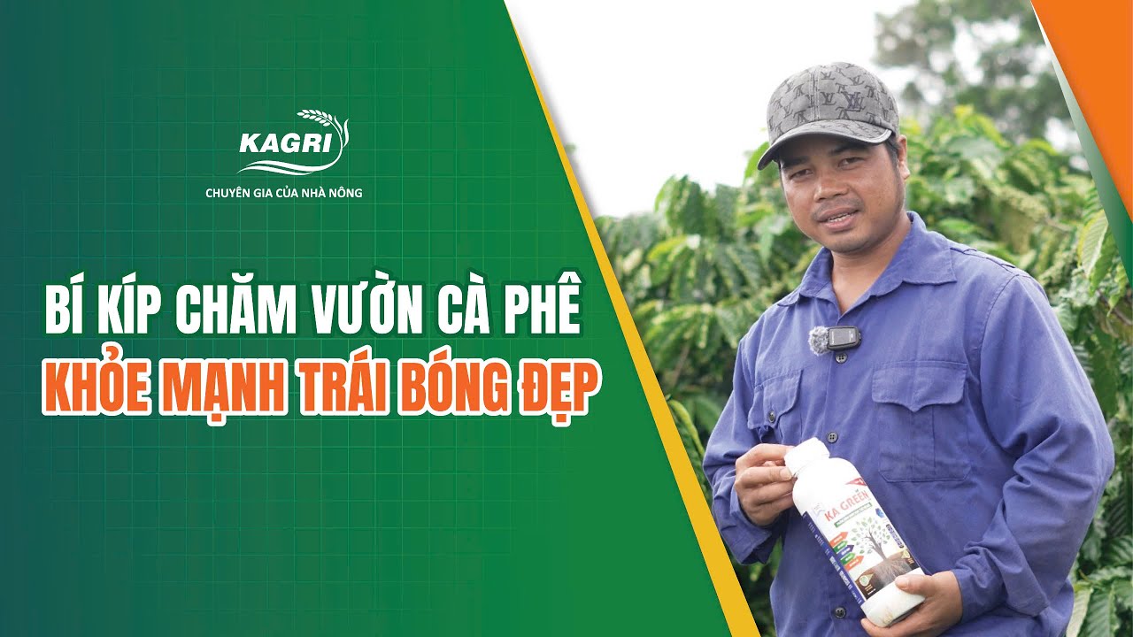 Video bung cơi đọt rễ tơ 7 ngày