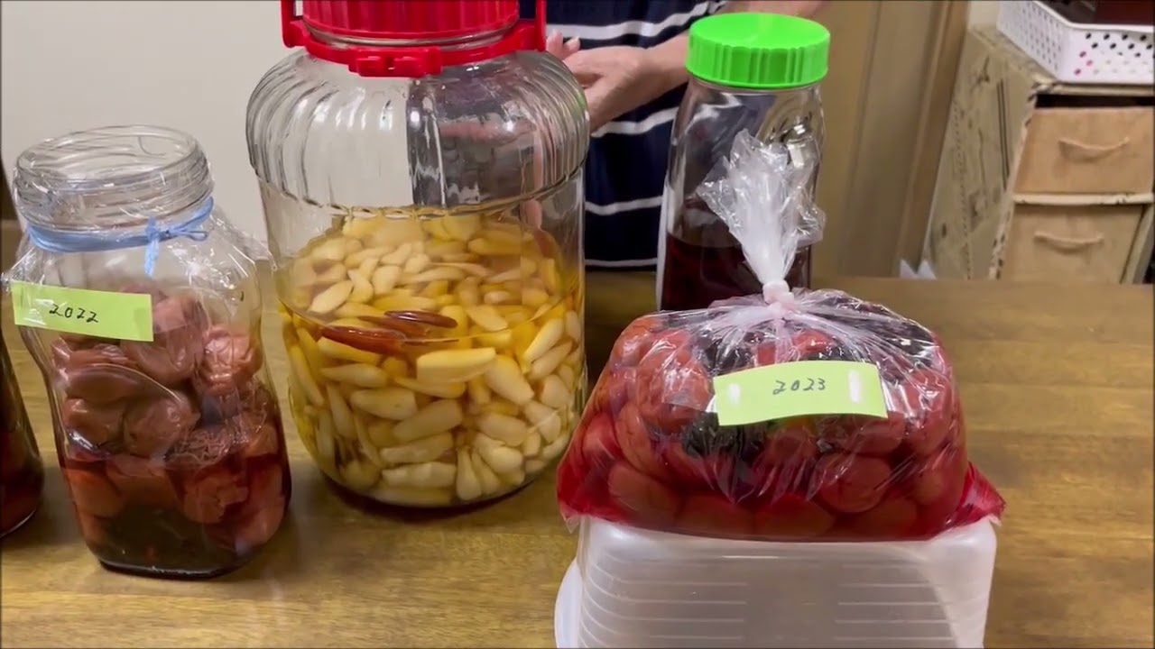 今年の夏までの作品集